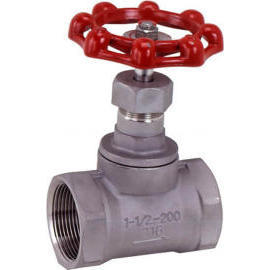 Cast Stainless Steel Globe Valve (Cast Stainless Steel Globe Valve)