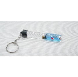 Acrylic liquid filled souvenirs key chain