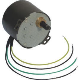 HZ Motor (HZ Motor)
