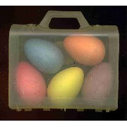 5 PCS EGG STYLE CHALK IN A CASE