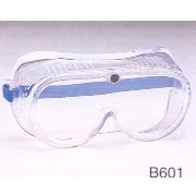 Safety Goggle (Schutzbrille)