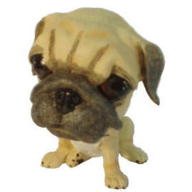Pug(The Head-waved Dog)