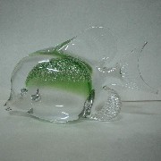 Glass Fish (Glass Fish)