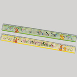 30cm Ruler w/water (30cm Ruler w / eau)