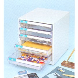 DOCUMENT CABINET (DOCUMENT CABINET)