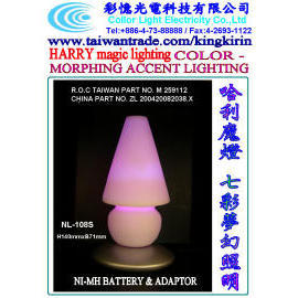 HARRY MAGIC LAMP (HARRY Magic Lamp)