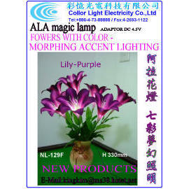 Blume mit COLOR MOPHIN ACCENT LIGHTING (Blume mit COLOR MOPHIN ACCENT LIGHTING)