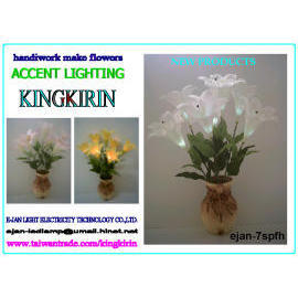 ACCENT LIGHTING (ACCENT LIGHTING)