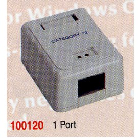 Surface Mount Boxex with jacks, Cat. 5E (Поверхностного монтажа Boxex с гнездами, Кат. 5E)