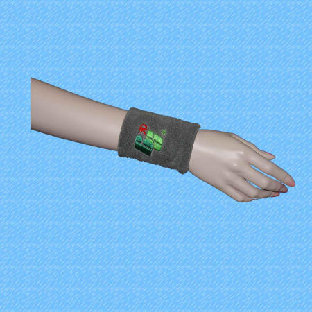 Wrist Support (Support de poignet)