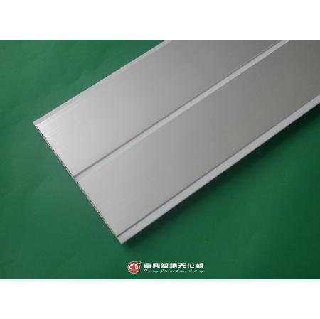 Plastic Ceiling (Plastic Plafond)