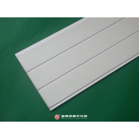 Plastic Ceiling (Plastic Plafond)