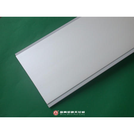 Plastic Ceiling (Plastic Plafond)