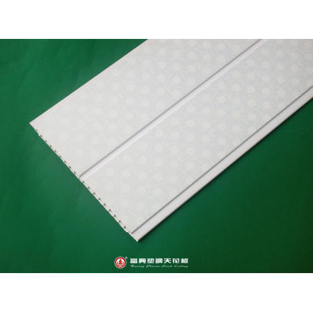 Plastic Ceiling (Plastic Plafond)