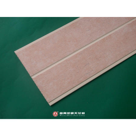 Plastic Ceiling (Plastic Plafond)