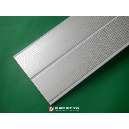 Plastic Ceiling (Plastic Plafond)