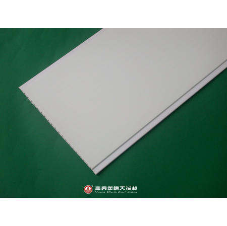 Plastic Ceiling (Plastic Plafond)