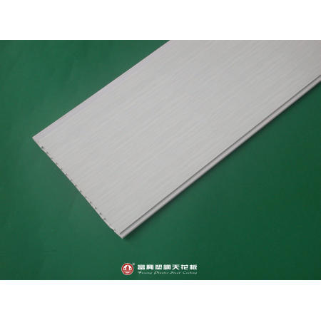 Plastic Ceiling (Plastic Plafond)