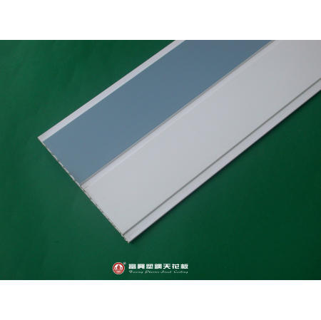 Plastic Ceiling (Plastic Plafond)