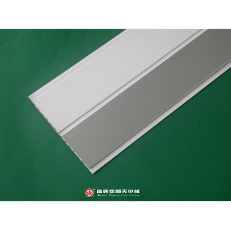 Plastic Ceiling (Plastic Plafond)