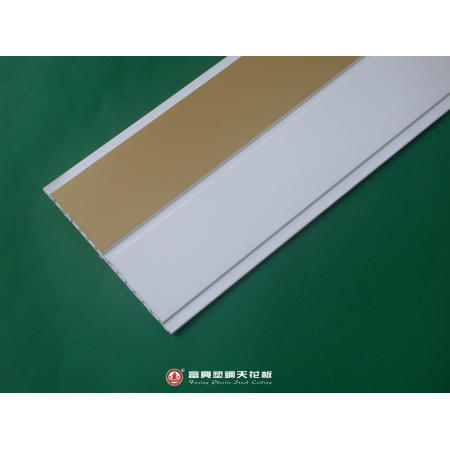 Plastic Ceiling (Plastic Plafond)