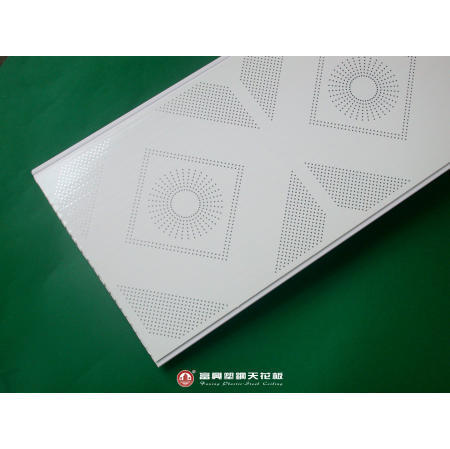 Plastic Ceiling (Plastic Plafond)