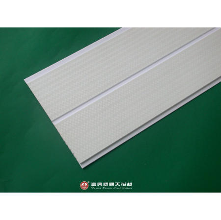 Plastic Ceiling (Plastic Plafond)