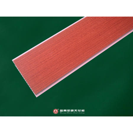 Plastic Ceiling (Plastic Plafond)