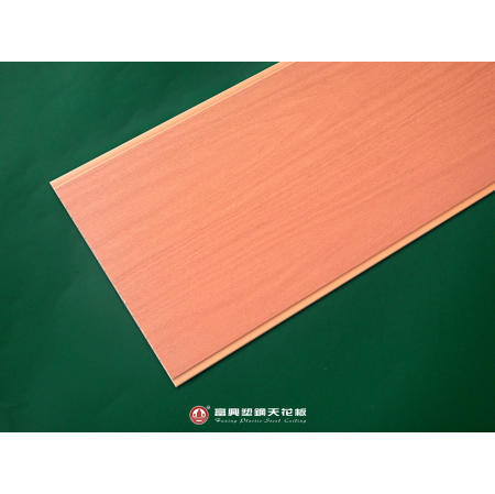 Plastic Ceiling (Plastic Plafond)