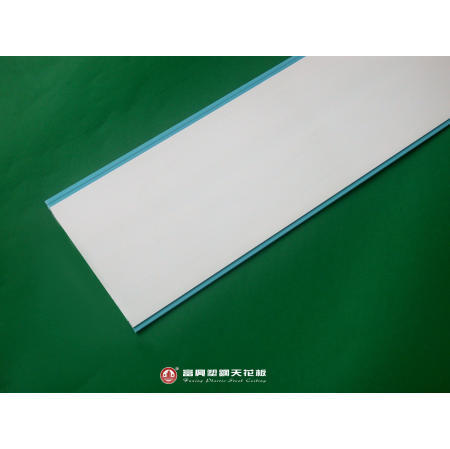 Plastic Ceiling (Plastic Plafond)