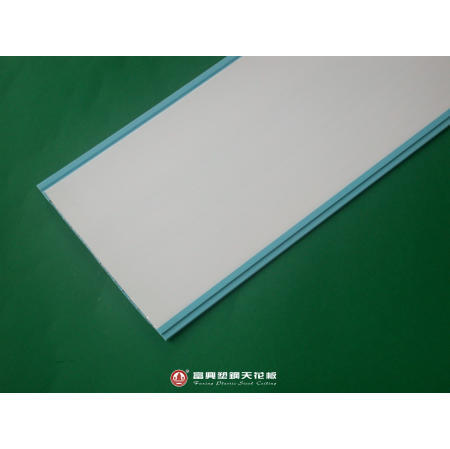 Plastic Ceiling (Plastic Plafond)