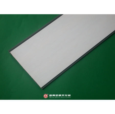 Plastic Ceiling (Plastic Plafond)