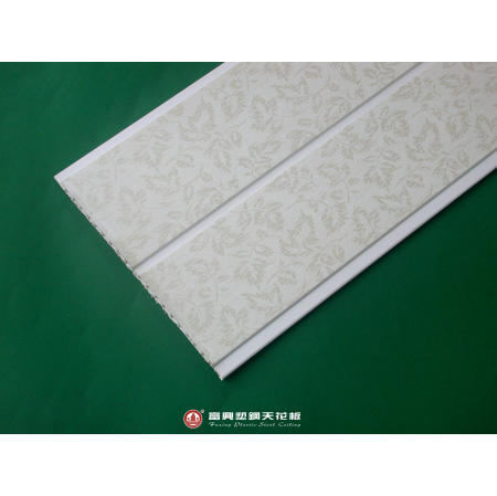 Plastic Ceiling (Plastic Plafond)