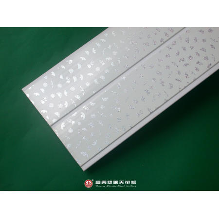 Plastic Ceiling (Plastic Plafond)