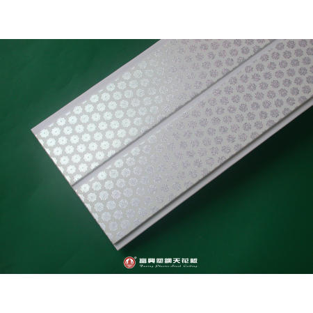 Plastic Ceiling (Plastic Plafond)