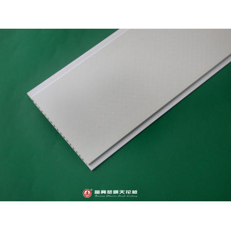 Plastic Ceiling (Plastic Plafond)