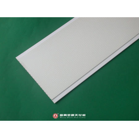 Plastic Ceiling (Plastic Plafond)