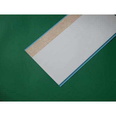 Plastic Ceiling (Plastic Plafond)