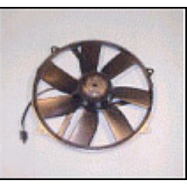 FAN& MOTOR (FAN & AUTOMOBILE)