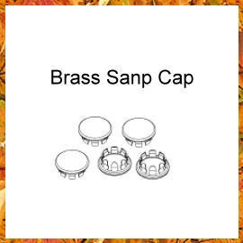 Brass SANP Cap (Brass SANP Cap)