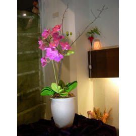 Artificial Flower (Fleur artificielle)