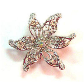 rhinestone brooches (Rhinestone броши)