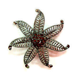 rhinestone brooches (Rhinestone броши)