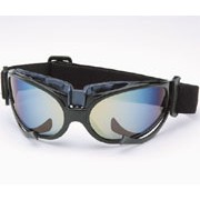 Sporty Sunglasses (Sporty Sunglasses)