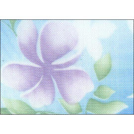 fabric (fabric)