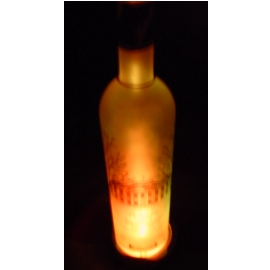 LED FLASH-BOTTLE (LED FLASH-BOUTEILLE)