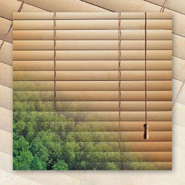 Wood Venetian (Wood Venetian)