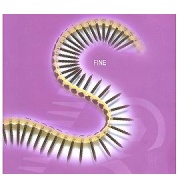 Tape Collated Screw (Tape Collated Screw)