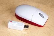 Mouse (La souris)