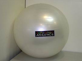 Yoga Physio Ball (Yoga Physio Ball)